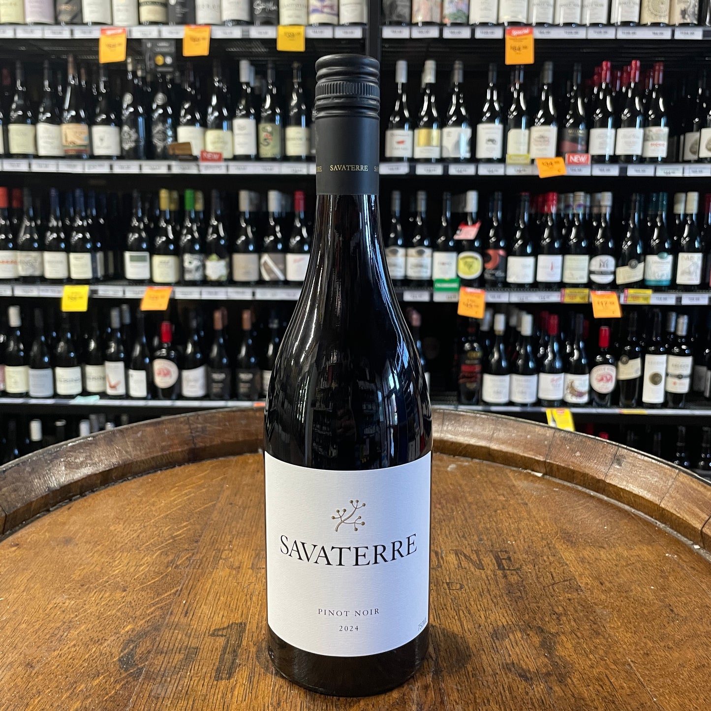SAVATERRE PINOT NOIR 2024